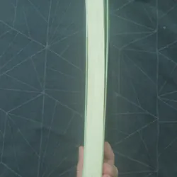 "Tôi có câu chuyện, bạn có rượu không?" - Quan Đông Dã Khách 629558