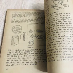 KỸ THUẬT THU HÁI MẪU VẬT - LÀM TIÊU BẢN CÂY CỎ 956928