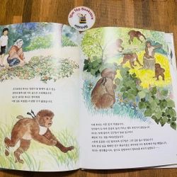 Set sách tranh cho bé 아이성장 그림책   496934