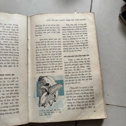 Sức khoẻ trường thọ 522706