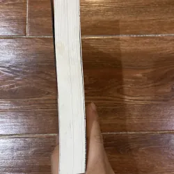 Gone Girl Cô Gái Mất Tích - Gillian Flynn (9) 936136