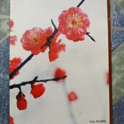 Mùa xuân và phong tục Việt Nam 1000186