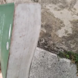 Về văn học dân gian xứ Nghệ của GS Ninh Viết Giao  1005726