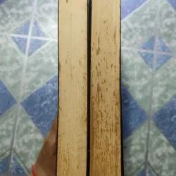 Đạo tình ( 2 tập) - Chu Ngọc 1008118