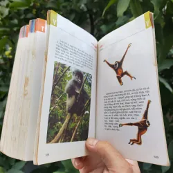 Từ Điển Tranh Về Các Con Vật - Lê Quang Long 753786