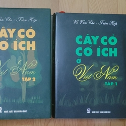 CÂY CỎ CÓ IT Việt Nam  502455