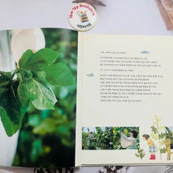 𝐒𝐞𝐭 𝐬𝐚́𝐜𝐡 𝐭𝐢̀𝐦 𝐡𝐢𝐞̂̉𝐮 𝐯𝐚̆𝐧 𝐡𝐨́𝐚 𝐇𝐚̀𝐧 𝐐𝐮𝐨̂́𝐜 호박돌 우리문화 496929