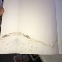 Bill Clinton và Hillary - Con đường vào nhà trắng 698703