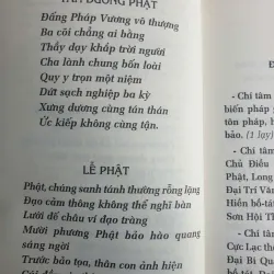 Kinh Đại Thừa Vô Lượng Thọ - Bìa mềm 974886