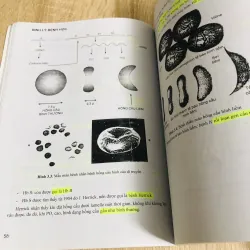 SINH LÝ BỆNH HỌC  1013031