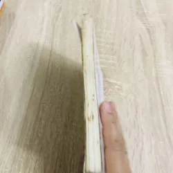 NHỮNG MẨU CHUYỆN VỀ DANH NHÂN 934004