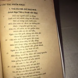 Nguyễn Đình Chiểu  958324