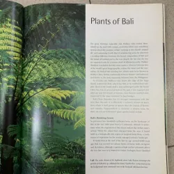 BALINESE GARDENS (KHU VƯỜN BALI) - WILLIAM WARREN 753496