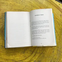 GOODBYE STRANGER- REBECCA STEAD 711944