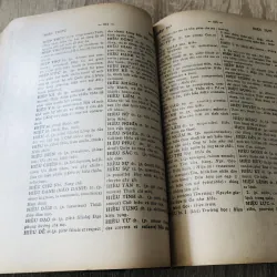 VIỆT NAM TÂN TỰ ĐIỂN 1966 995118