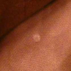 Túi đeo vai Louis Vuitton Monogram Macassar Drake M40636 610502