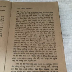 Mưa trong bình minh 1007164