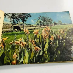 Tập lịch xưa năm 1966 nhiều hình ảnh đẹp  796460