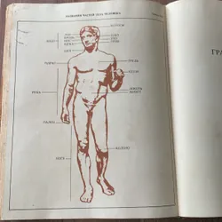 4000 từ phổ biến nhất trong tiếng Nga: 4000 НАИБОЛЕЕ УПОТРЕБИТЕЛЬНЫХ СЛОВ РУССКОГО ЯЗЫКА 673853