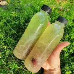 Rong sụn biển muối khô, dùng trộn gỏi ngày tết đãi khách, nấu nước mát, làm thạch, 778965