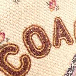 Túi Coach F55598 617832