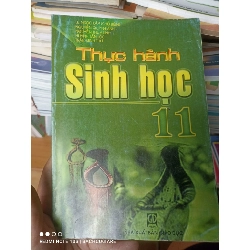 (Sách cũ SCGR) Thực Hành Sinh Học 11 - Lê Ngọc Lập, Nguyễn Quỳnh Anh, Nguyễn Thùy Linh, Huỳnh Tấn Lộc, Trần Minh Thư 2007 VAVO-AK2ST3 Blogmeo090426