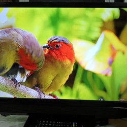 [Tivi Siêu Mỏng & Bền - Full Cổng HDMI] THANH LÝ