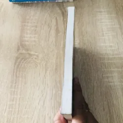 BỆNH TUỴ CÁCH PHÒNG VÀ ĐIỀU TRỊ  1017678