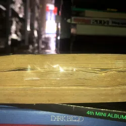 Từ một giấc mơ - Từ Hi Thái Hậu - Mộng Bình Sơn 796693