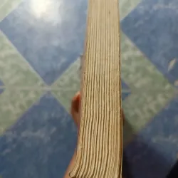 Gió lộng cờ đào ( Cờ nghĩa Tây Sơn) - Mộng Bình Sơn 974078