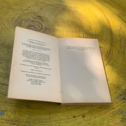 OWL LIGHT - MAGGIE PEARSON 763350