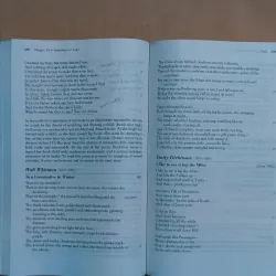 Backpack Literature: An Introduction to Fiction, Poetry, Drama, and Writing 993799