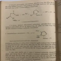 Sinh hoá đại cương, sách khổ to 709156
