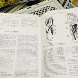 ANATOMY – Gardner • Gray • O’Rahilly 799199