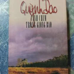 Cánh chim trong giông bão - Quỳnh Dao 975054