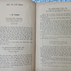 HÓA THẠCH ĐẶC TRƯNG Ở MIỀN BẮC VIỆT NAM 687720