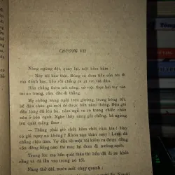 Chồng con - Trần Tiêu 797909