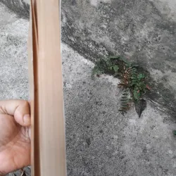 Văn học trung đại Việt Nam dưới góc nhìn văn hóa của GS Trần Nho Thìn  1022805