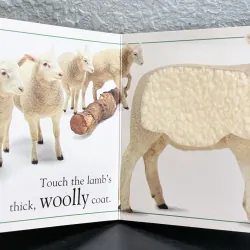 Board book sờ chạm - Touch and Feel: Farm (DK) 995012