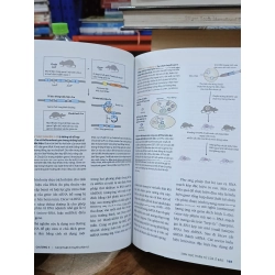 Sinh học phân tử của tế bào, Tập 2: Di truyền học và sinh học phân tử - Nhiều tác giả 506601