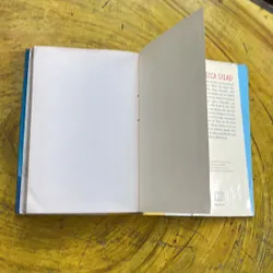 GOODBYE STRANGER- REBECCA STEAD 711944