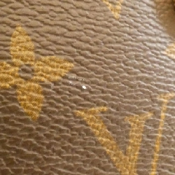 Túi xách vai Louis Vuitton Monogram Saint Placide M43713 613389