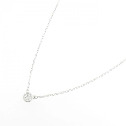 Dây chuyền Tiffany By The Yard - Hàng hiệu Authentic 840218