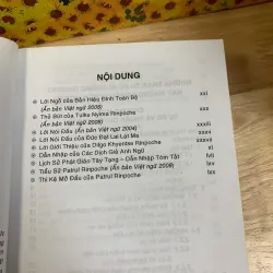 Lời Vàng Của Thầy Tôi - Patrul Rinpoche 926213