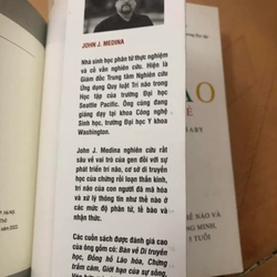 Lô sách John Medina: Luật trí não & Luật trí não dành cho trẻ 306928