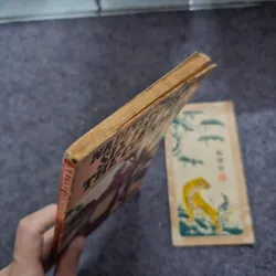 The feet of the country - Nadine gordimer 740838