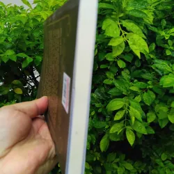 Romeo và Tuyết tự truyện của Jerry White 1000247