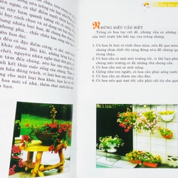Trồng hoa quanh nhà 12162