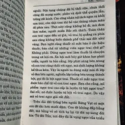 Rừng xanh lá đỏ 1001641