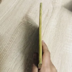 KỸ THUẬT TRỒNG MỘT SỐ RAU ĐẬU XUẤT KHẨU  956858